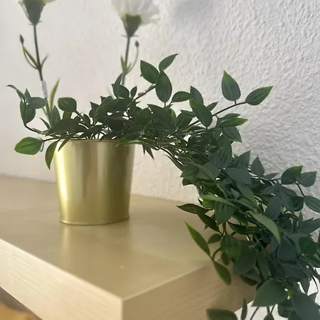 Apartment Sunny View Cristianos