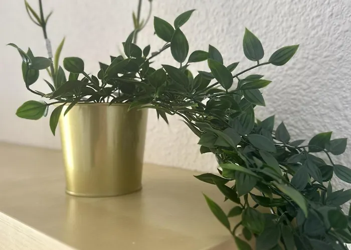 아파트 Sunny View Cristianos